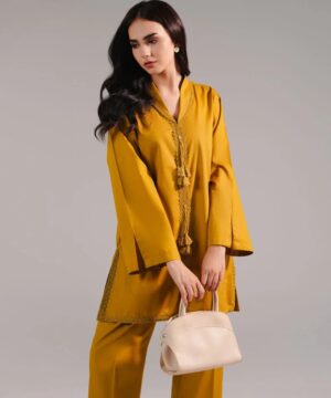 2 Piece Lawn suit